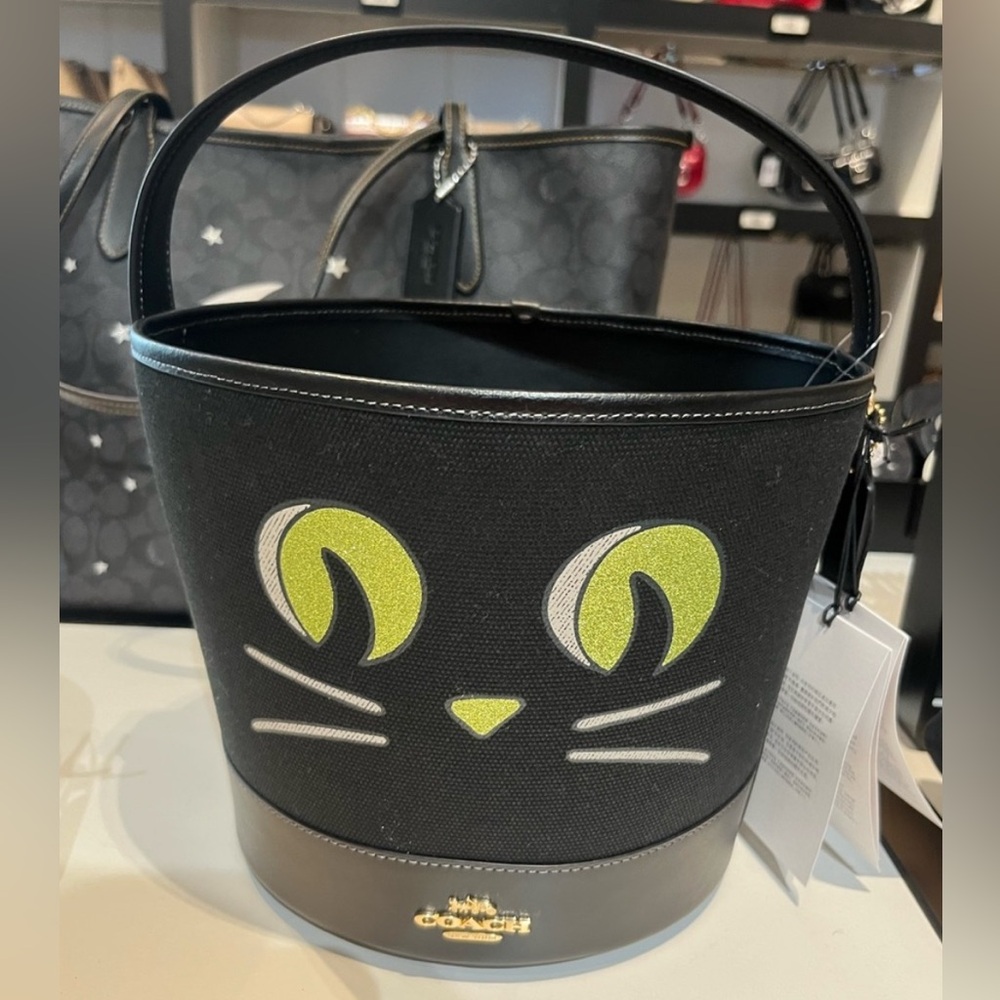 Last one! New Coach - Trick Or Treat Buckets With Halloween Pumpkin and cat - Picture 7 of 14
